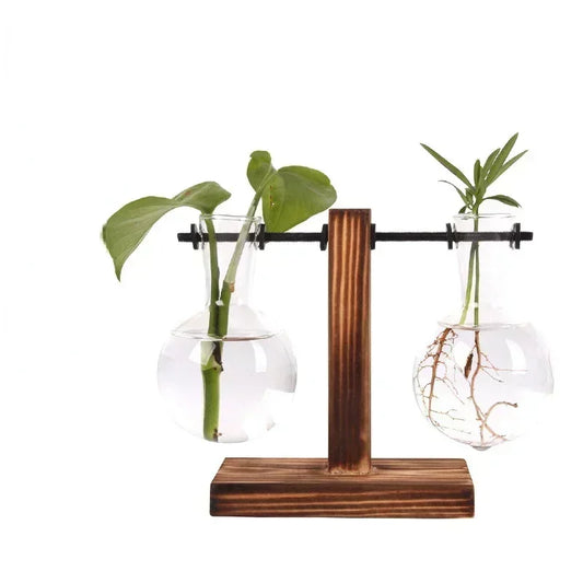 Hydrokulturpflanze Terrarium Vasevase Dekoration Home Glasflasche Hydrokultur Desktop Dekoration Büro Grüne Pflanze Kleiner Topf