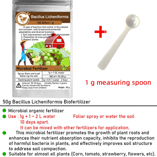 50 جرام من سماد Bacillus Licheniformis العضوي الذي يحتوي على 100 مليار ميكروب، تعمل الزراعة العضوية على تحسين بنية التربة وحيوية النبات